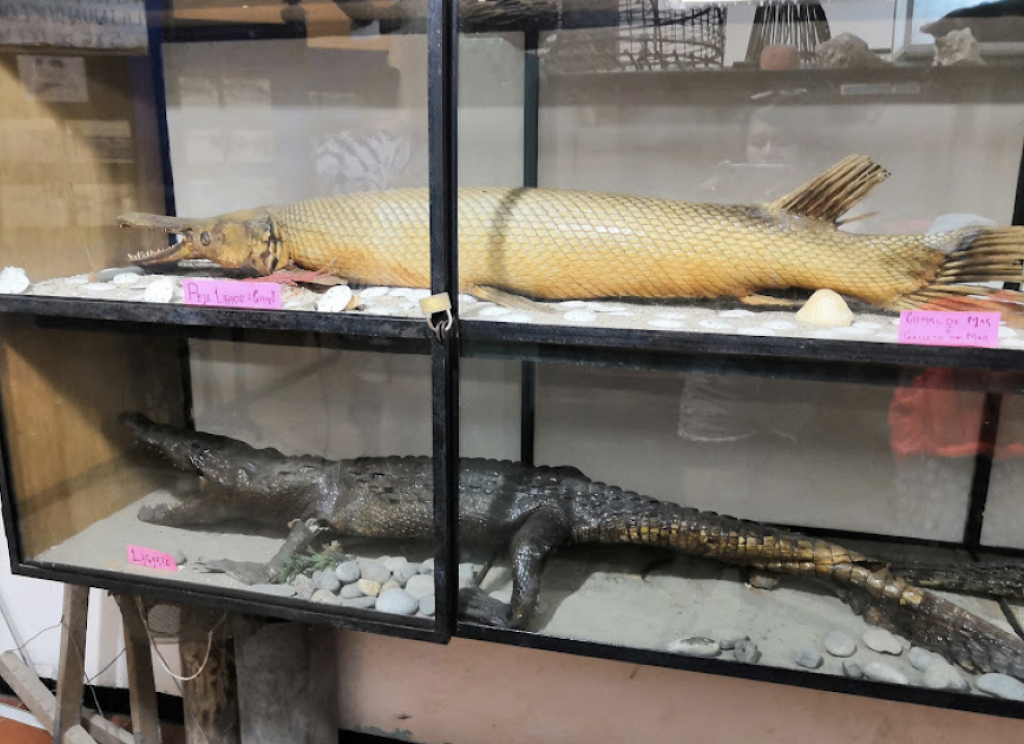 Museo Marino Comunitario de Tecolutla-0