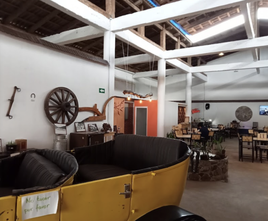 Museo Mexicano del Axolote -1