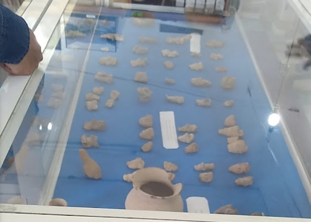 Museo Municipal Profesor Miguel Ángel Herrera Bravo-1