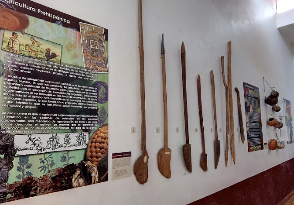 Museo Nacional de Agricultura-2