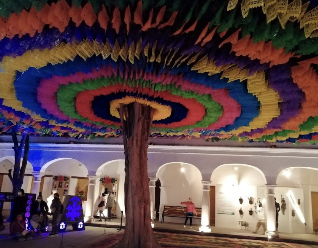 Museo Oaxaqueño de Arqueología Ervin Frissell -4