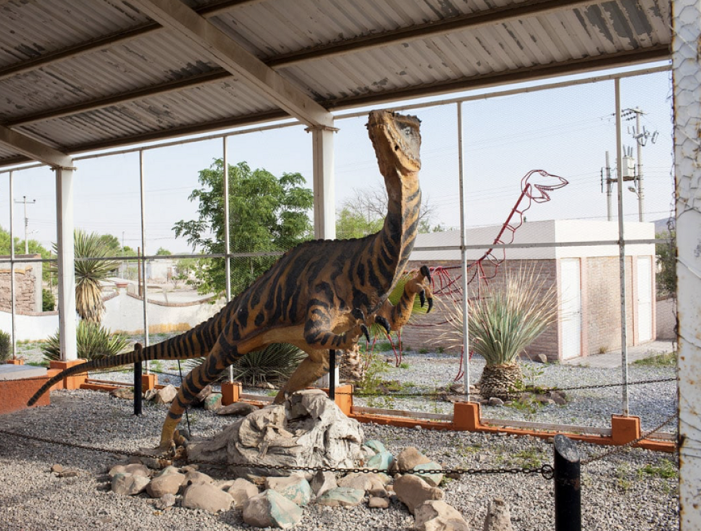 Museo Paleontológico -0