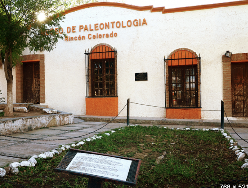 Museo Paleontológico -1