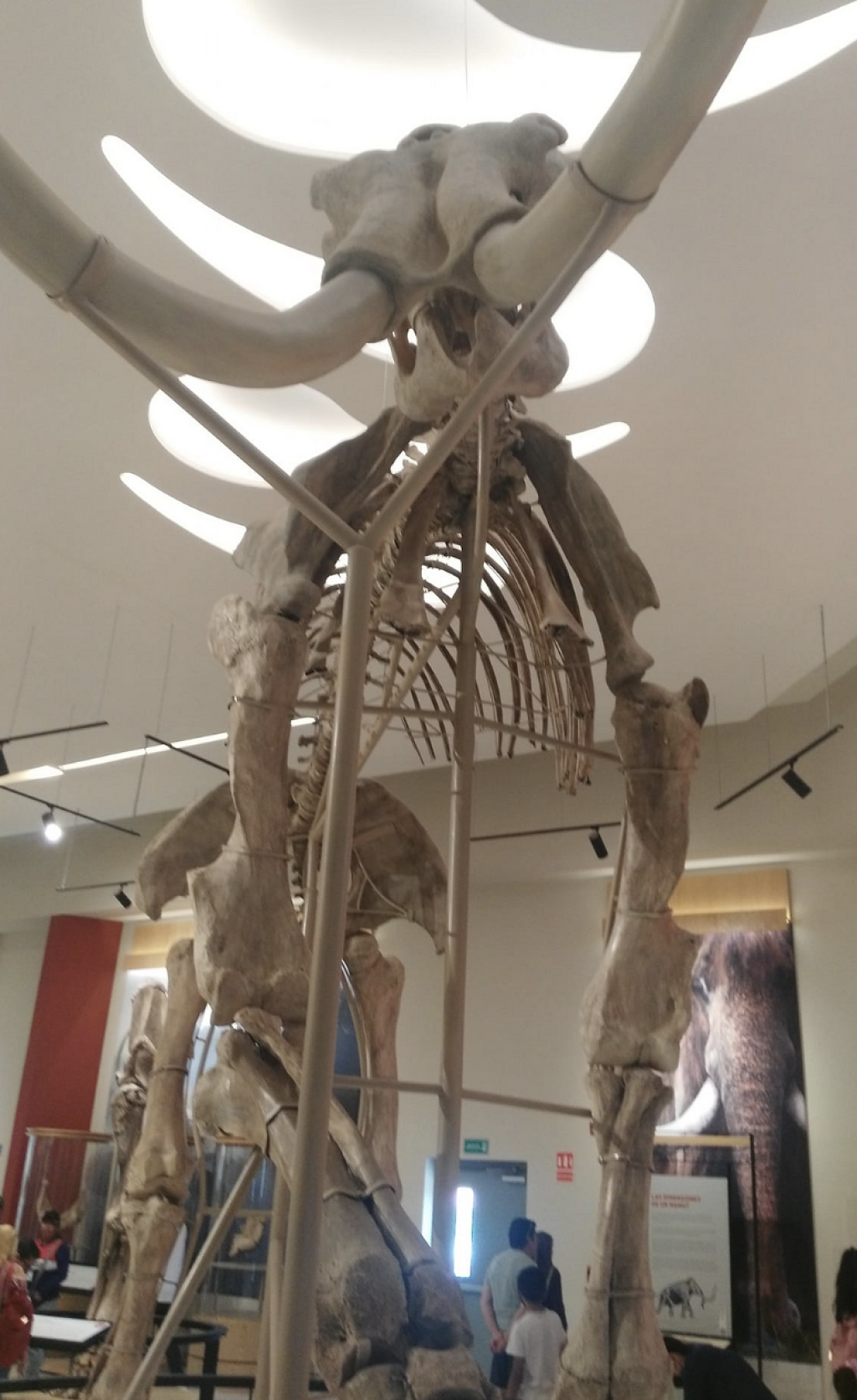 Museo Paleontológico Comunitario de la Magdalena Huizachitla-0