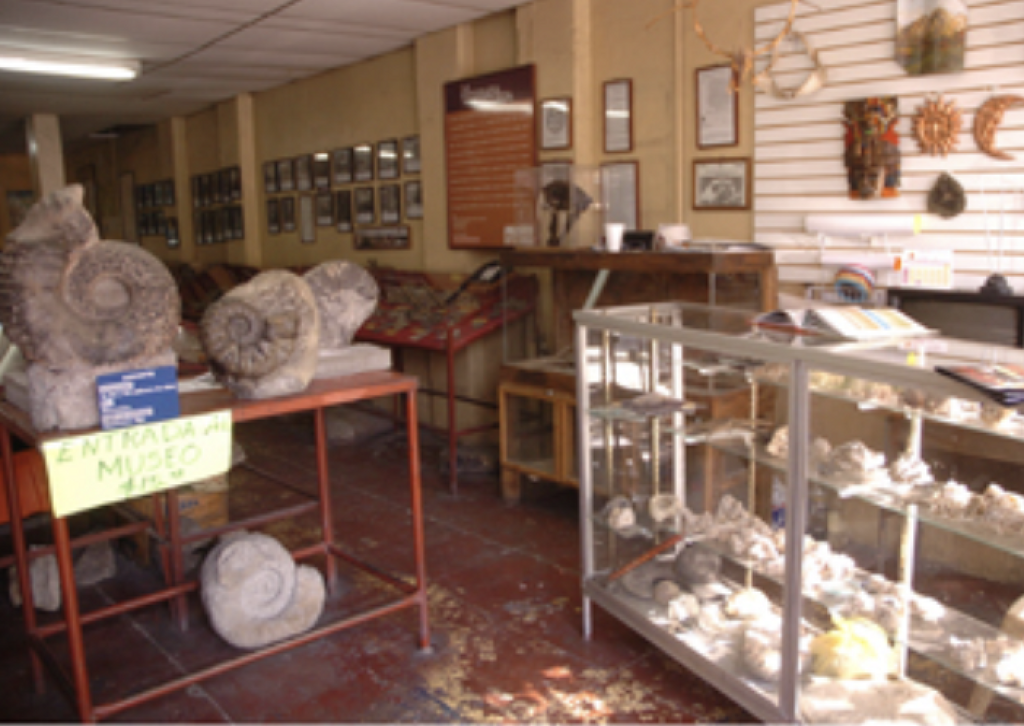 Museo Paleontológico de la Laguna-1