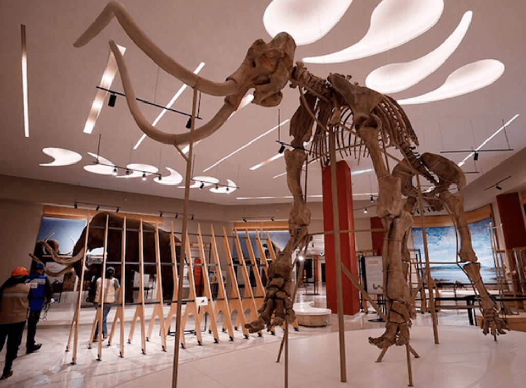 Museo Paleontológico de Santa Lucía Quinametzin-0