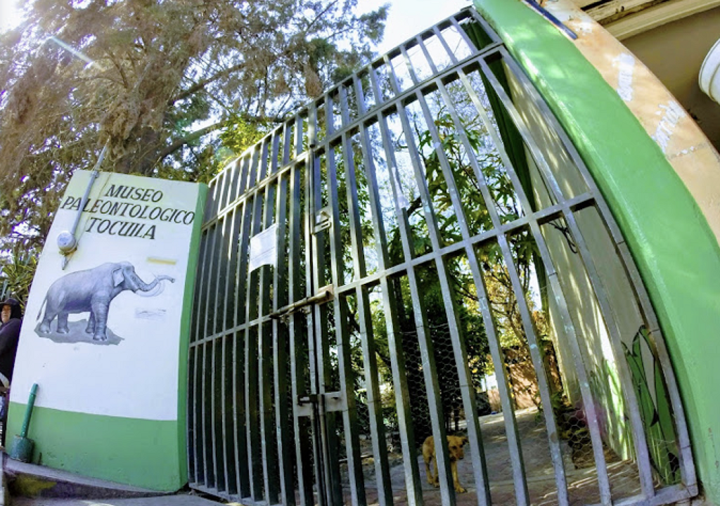 Museo Paleontológico de Tocuila-1