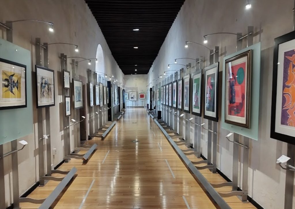 Museo Pedro Coronel-2