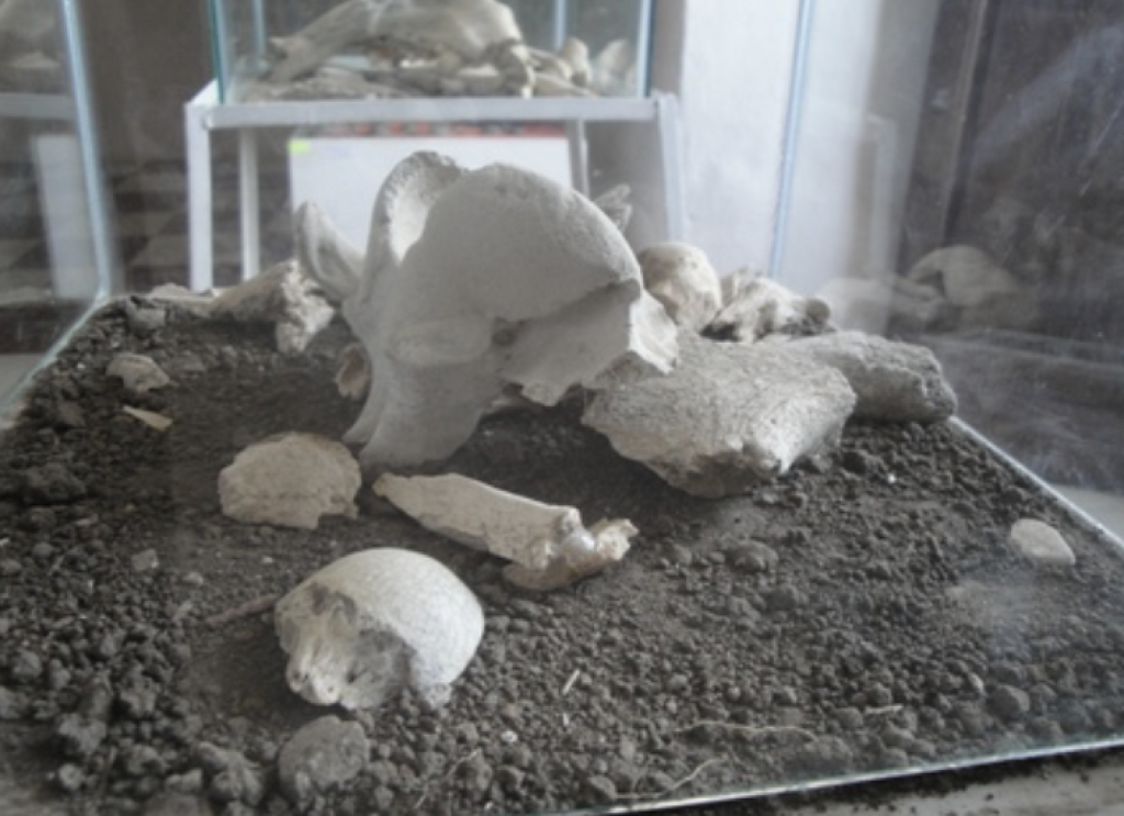 Museo Prehispánico Religioso Fe y Cultura-1