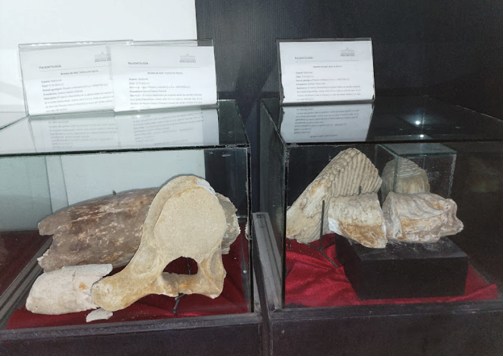 Museo Profr. Moisés Sáenz Garza-1
