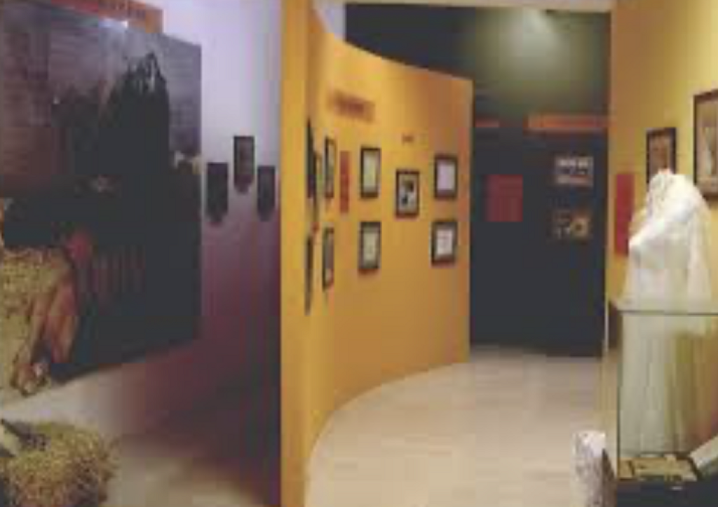 Museo Raíces de Satevó-0