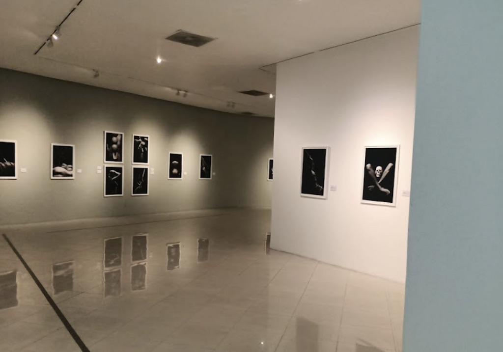 Museo Raúl Anguiano (MURA)-2