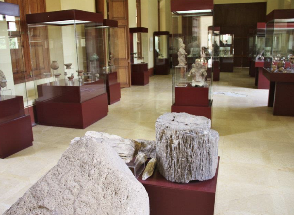Museo Regional de Arqueología y Paleontología Profr. Filemón Gutiérrez Ramírez-3