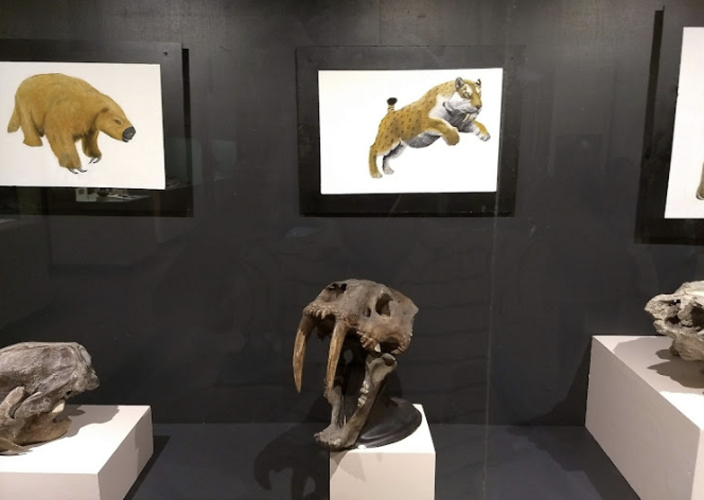 Museo Regional de Guadalajara-1
