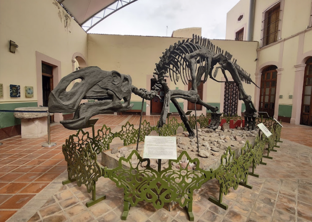 Museo Regional de Historia de Aguascalientes-0