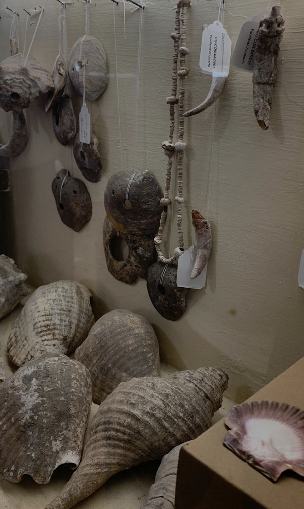 Museo Regional de Teocuitatlán de Corona-0