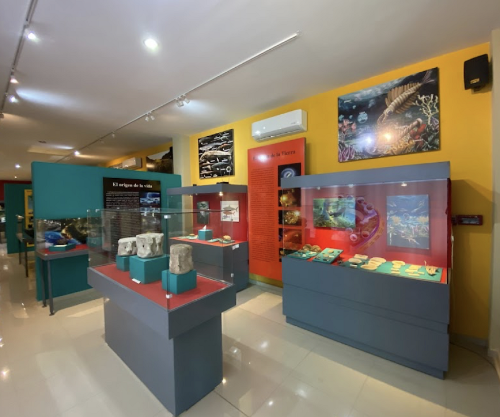 Museo Regional del Évora-1