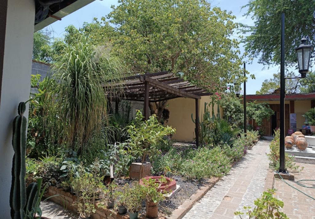 Museo Regional del Rioverde-1