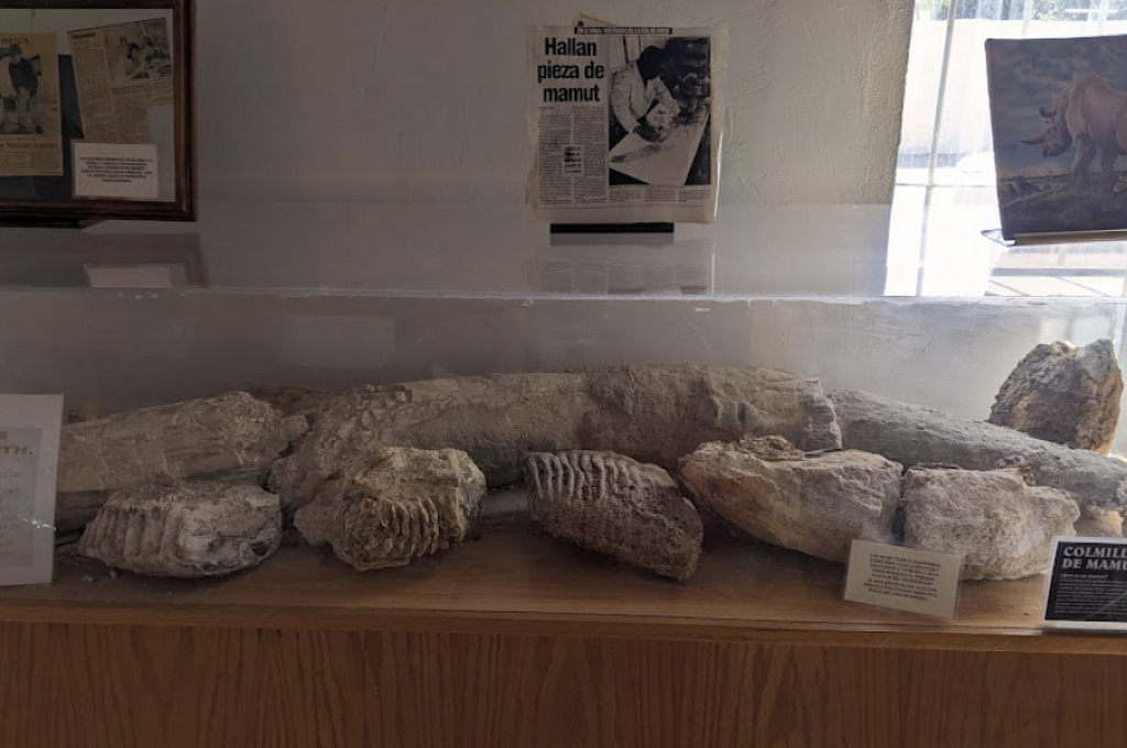 Museo Regional del Valle de Juárez-0