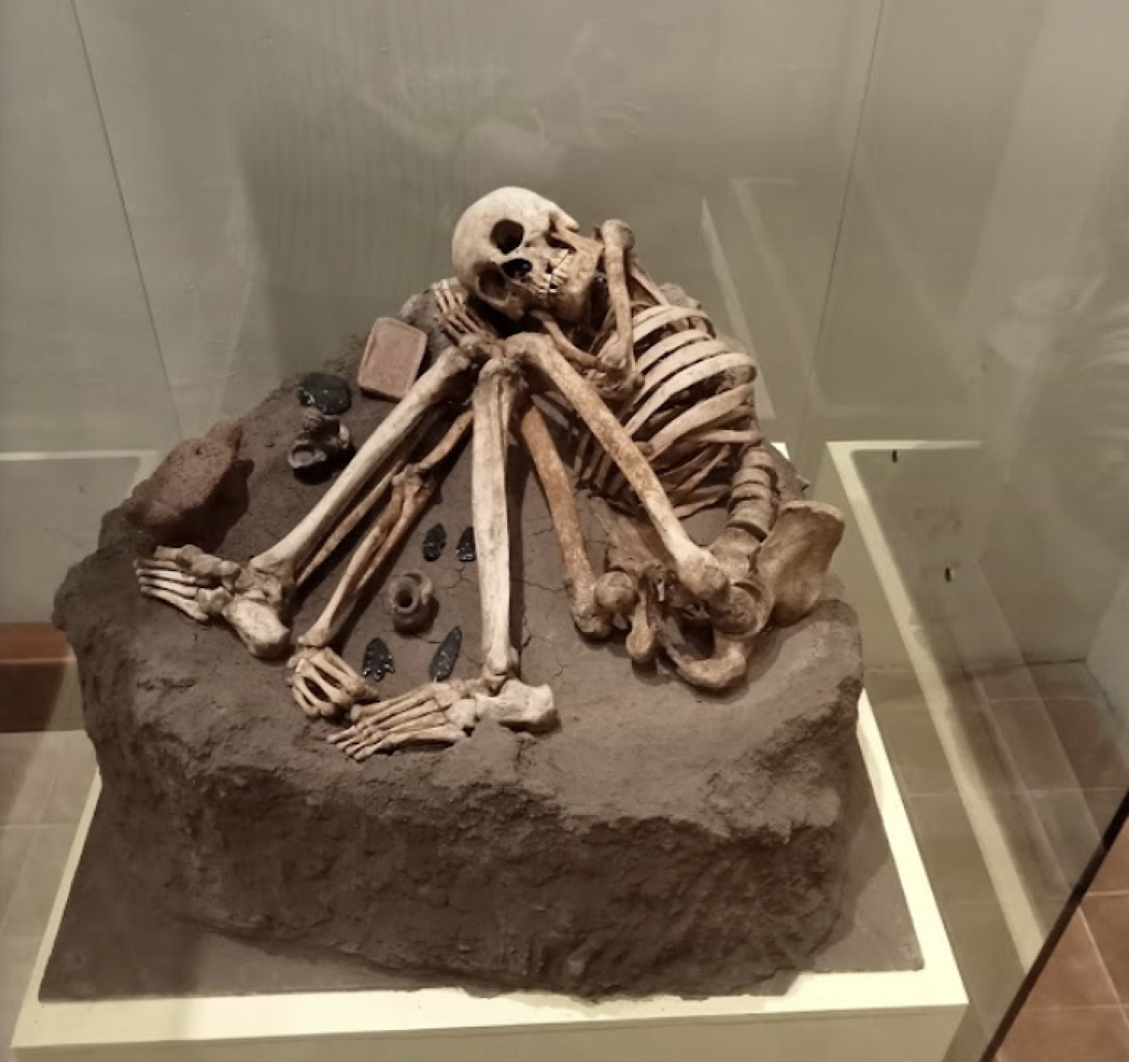 Museo Regional Michoacano, Dr. Nicolás León Calderón-2