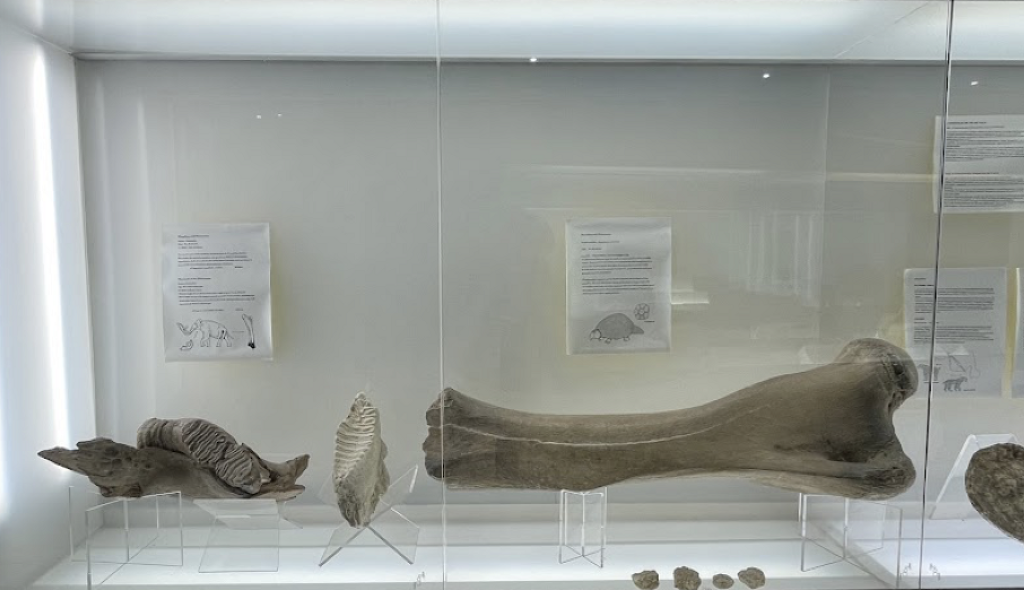 Museo Regional Mixteco Tlayúa-0
