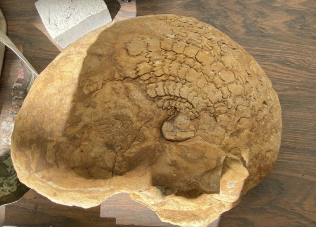 Museo Regional Mixteco Tlayúa-1