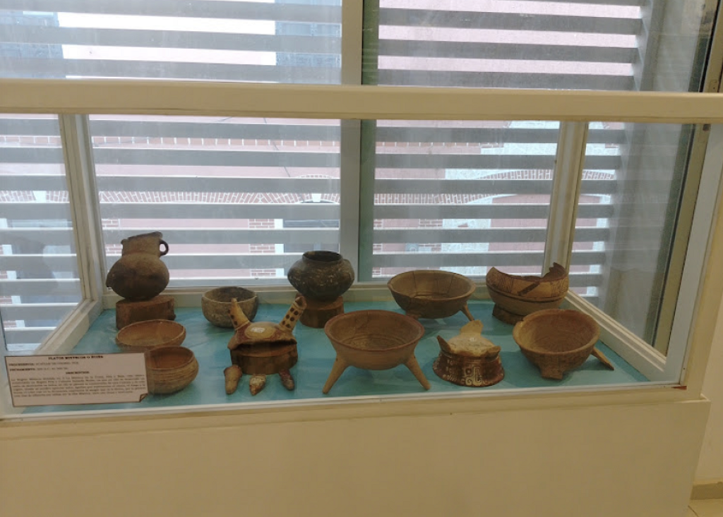 Museo Regional Senen Mexic-0