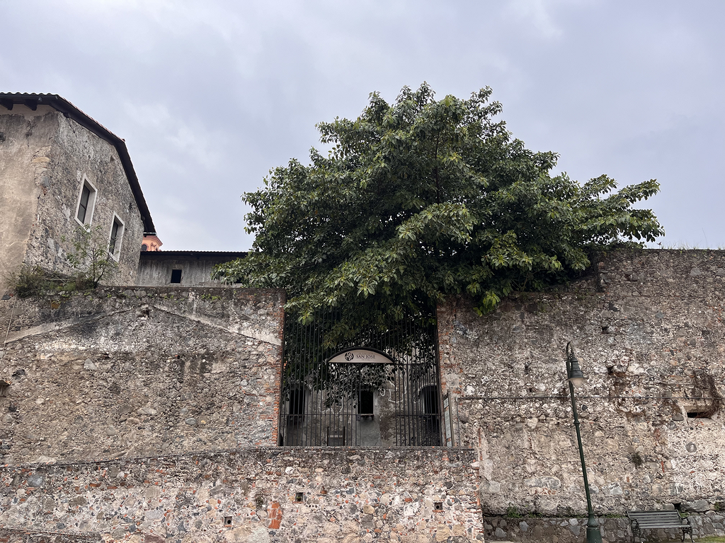 Museo Religioso-0