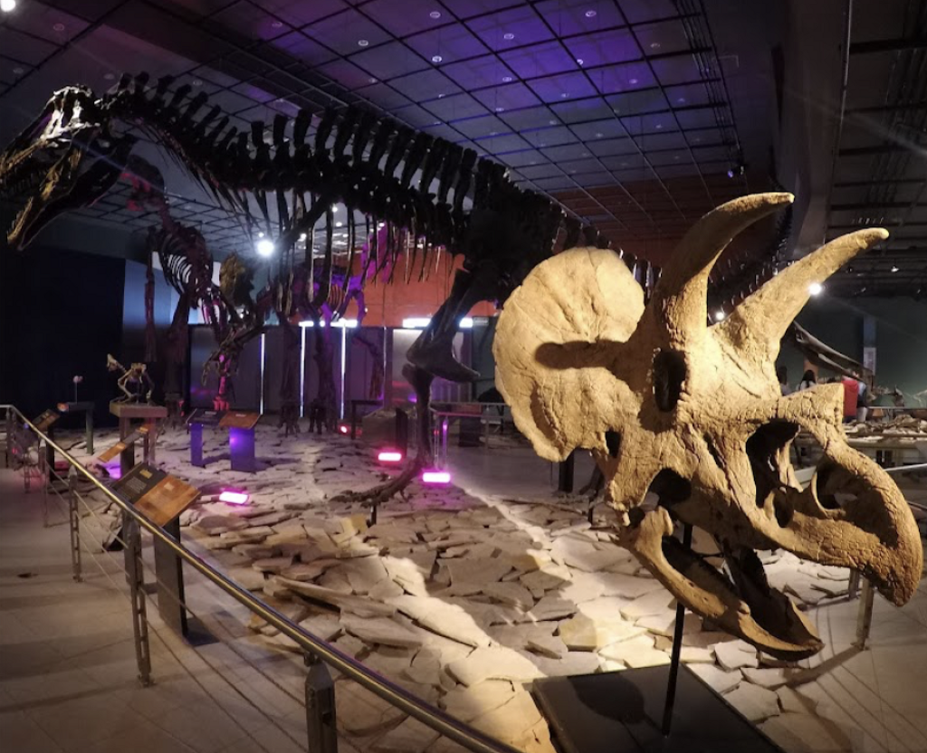 Museo Reyes Meza-1
