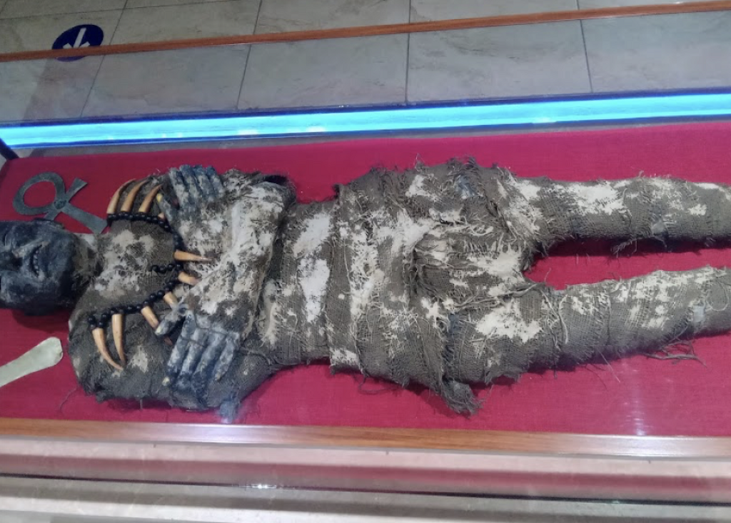 Museo Ripley-1