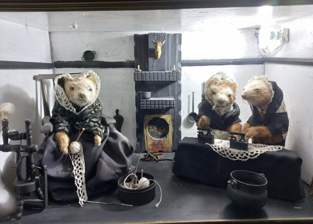 Museo Ripley-2