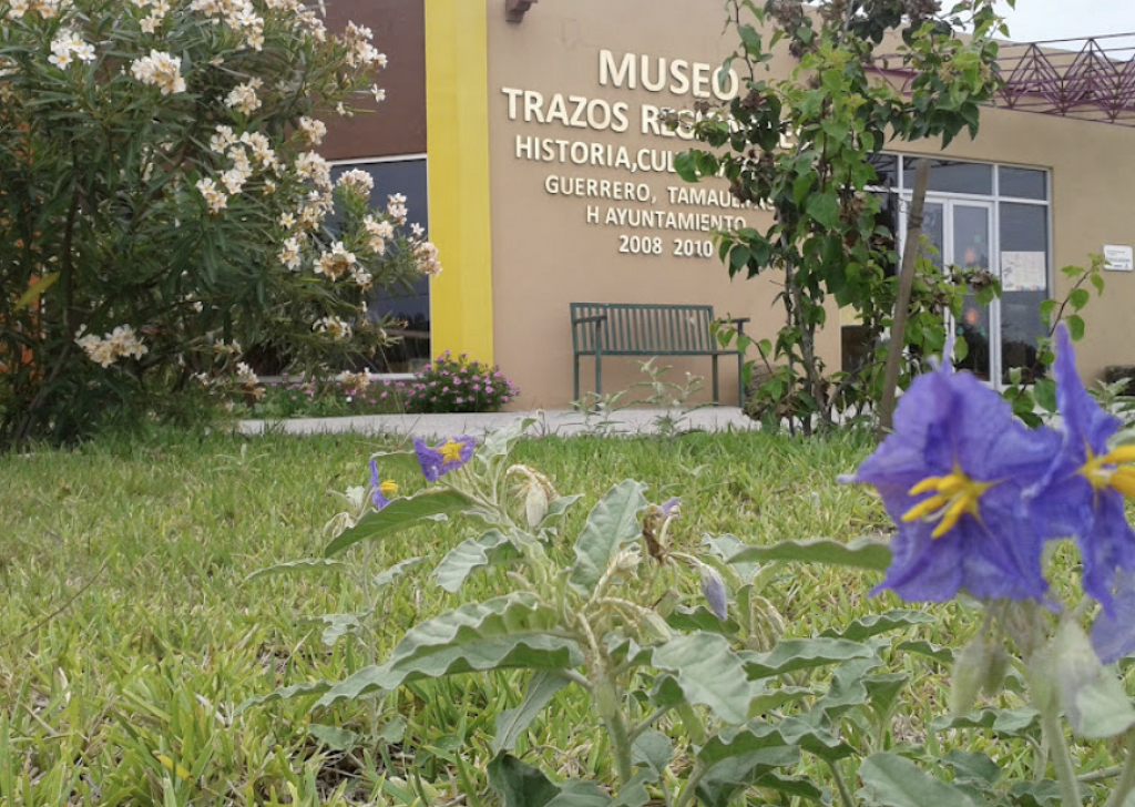 Museo Trazos Regionales-2