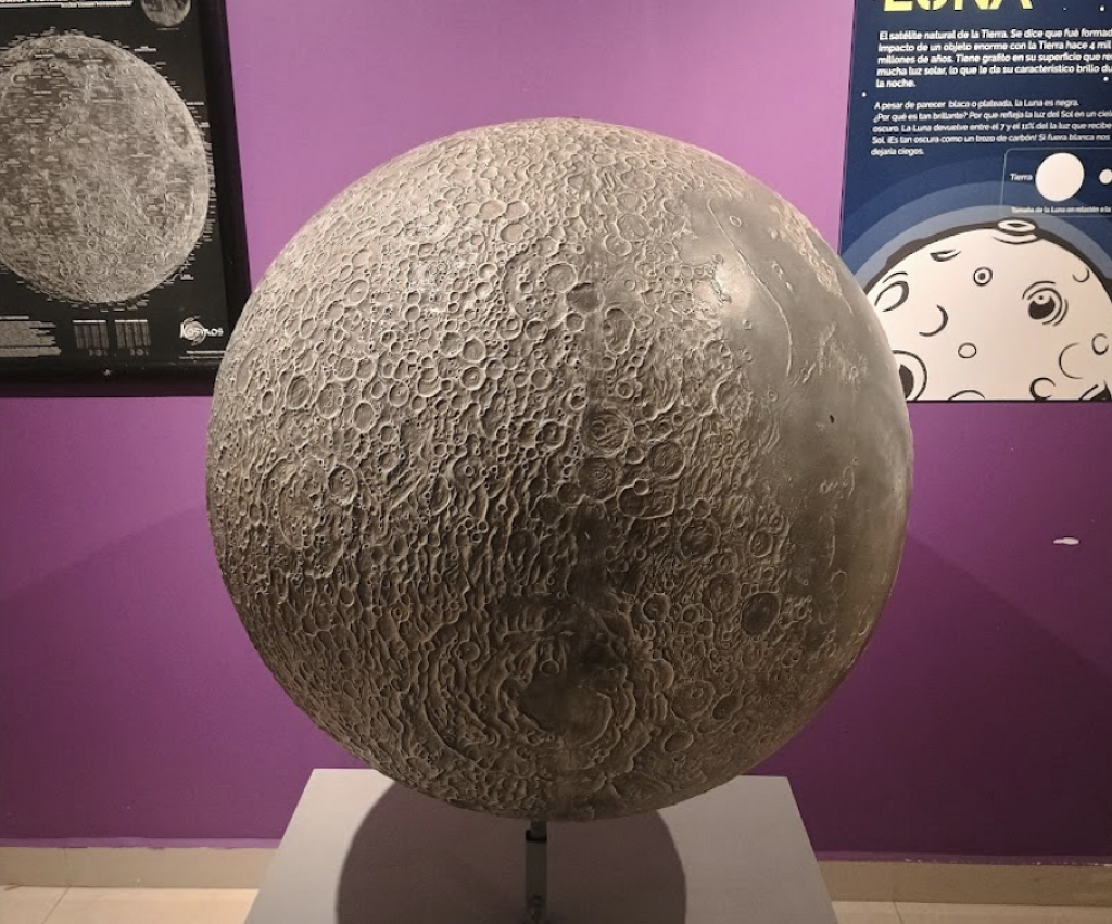 Museo Universitario de Ciencias-1