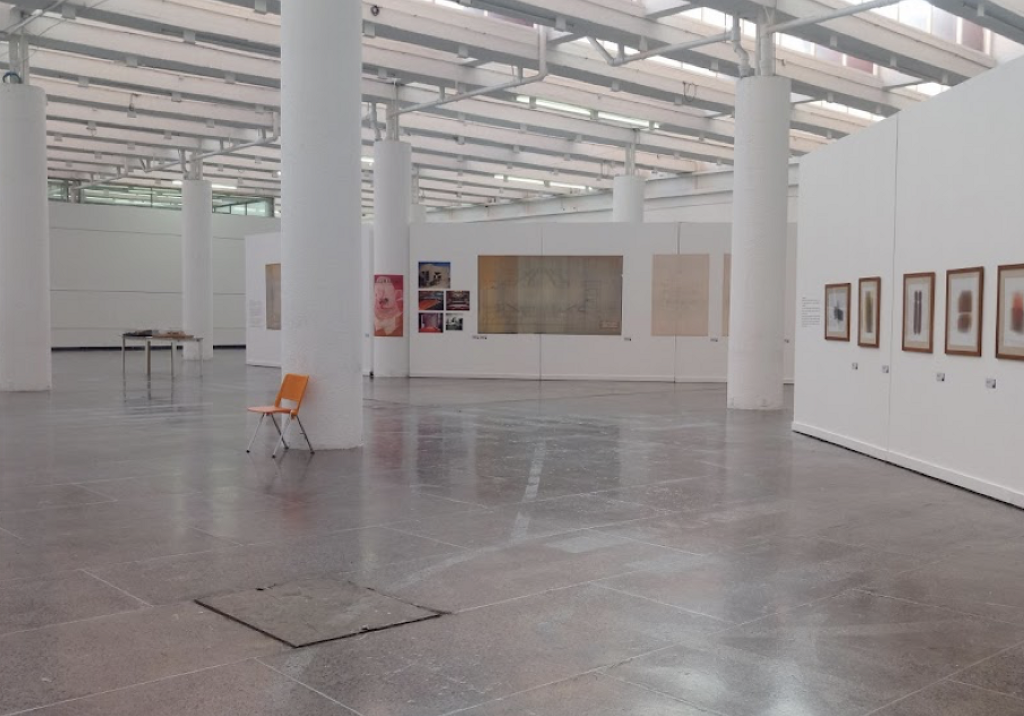 Museo Universitario de Ciencias y Artes (MUCA) -1