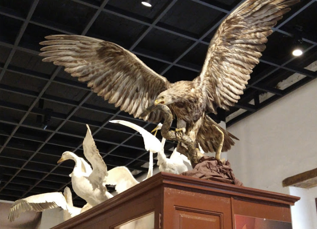 Museo Universitario de Historia Natural  Manuel M. Villada-0