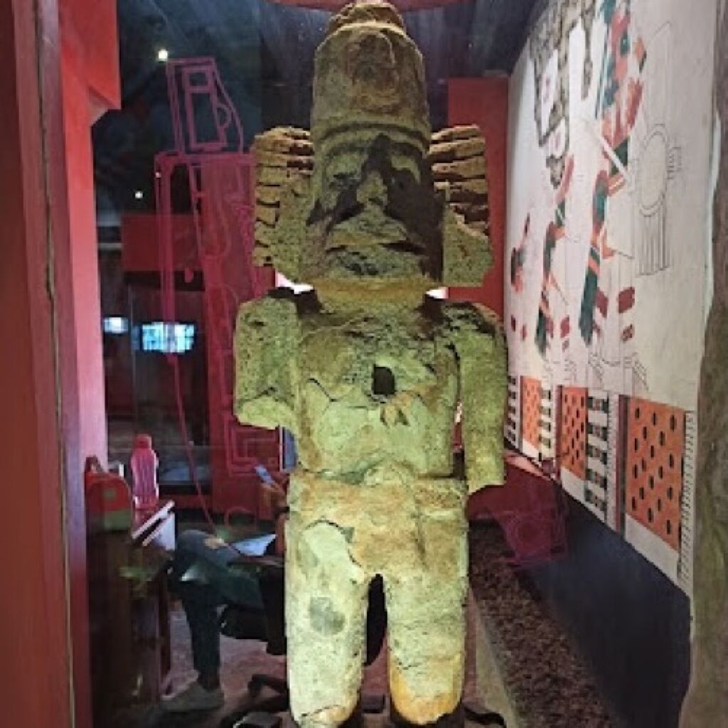 Museo Universitario Dr. Luis Mario Schneider-1