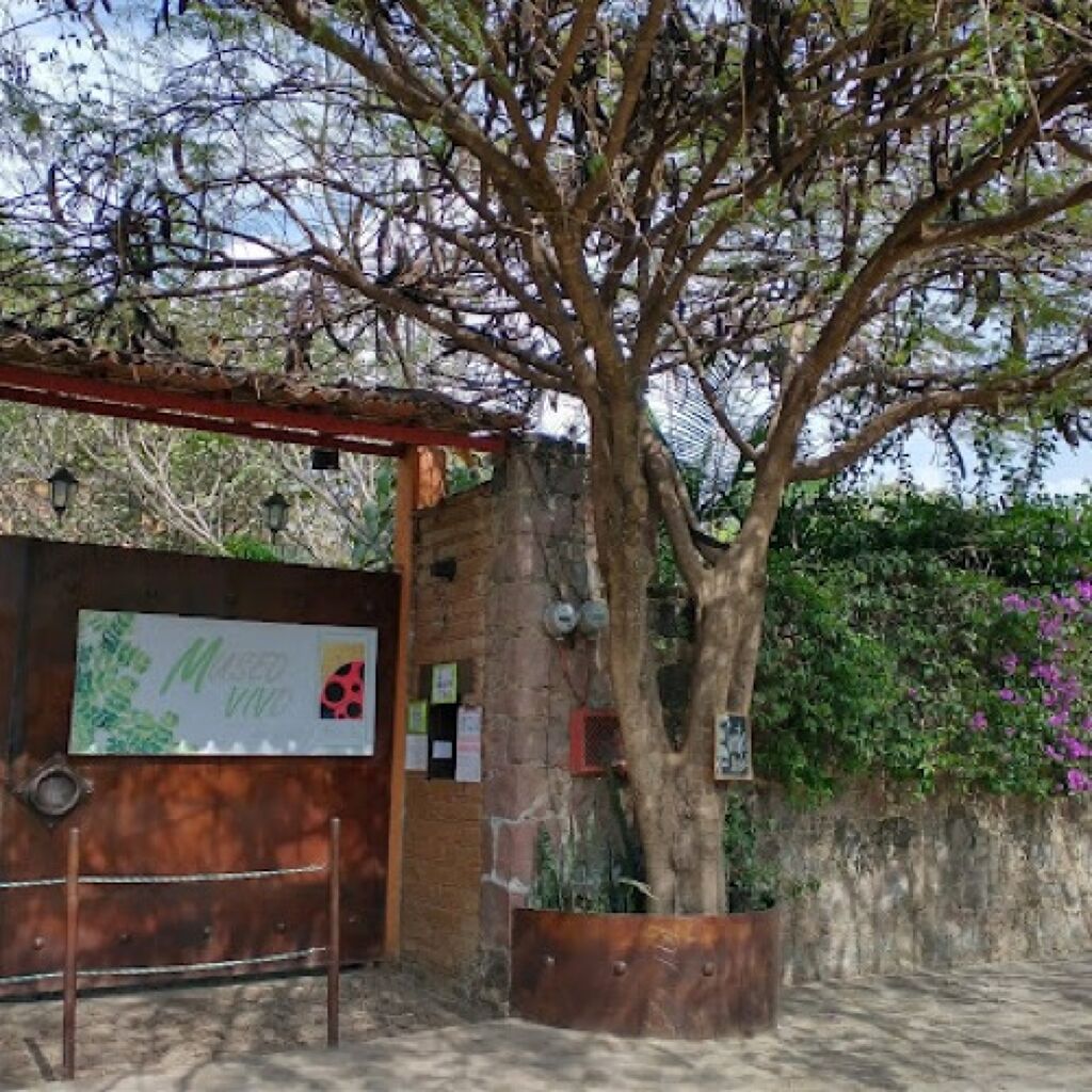 Museo Vivo Los Bichos-1