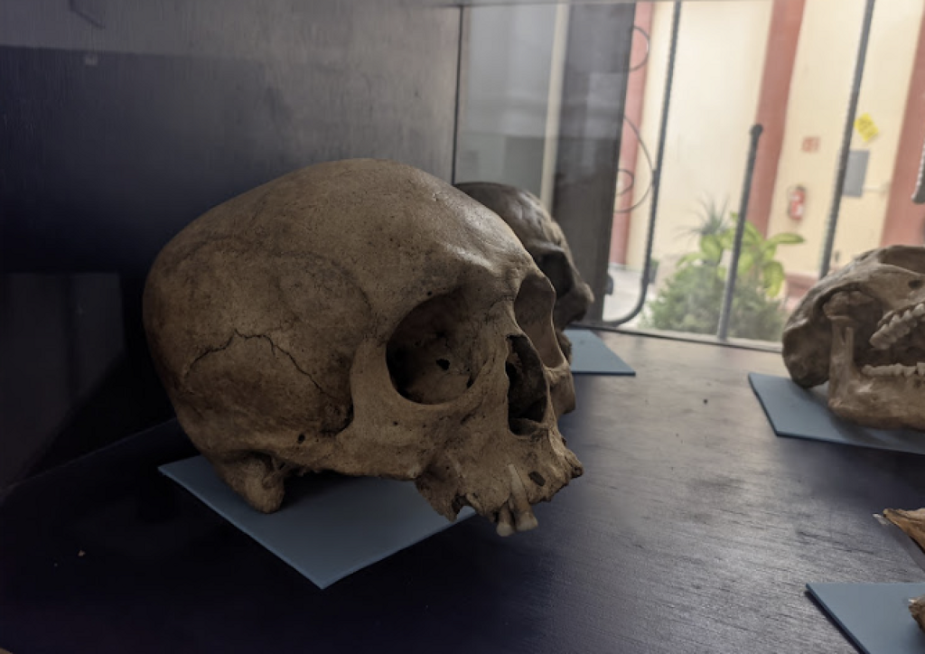 Museo Waldemar Julsrud-3