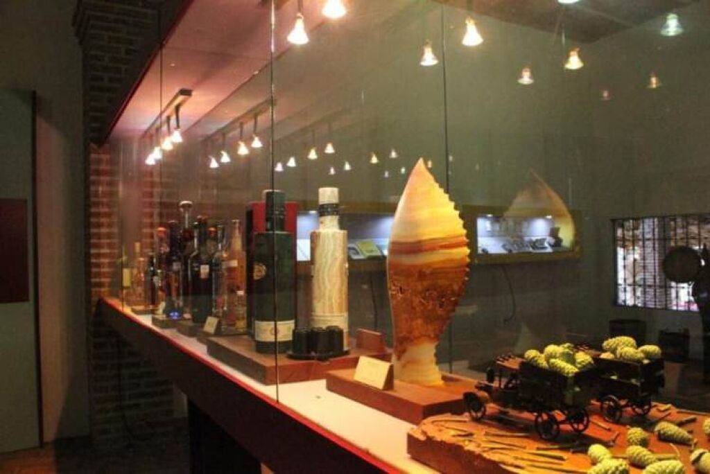 Museo y Fábrica de Mezcal Don Aurelio-0