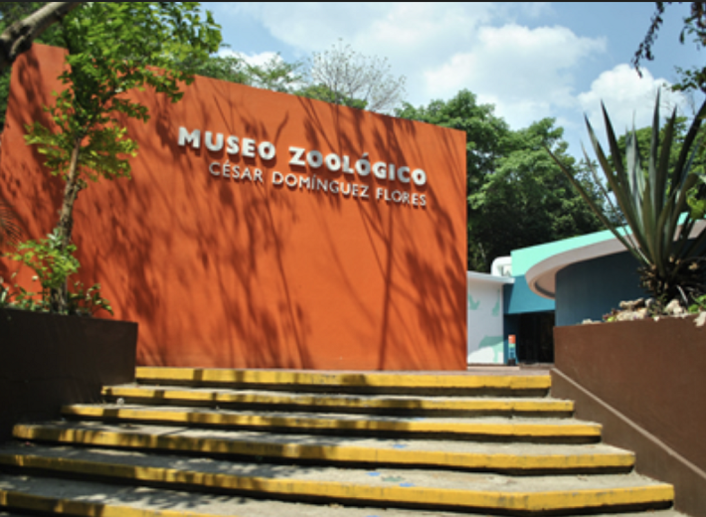 Museo Zoológico César Domínguez Flores-2