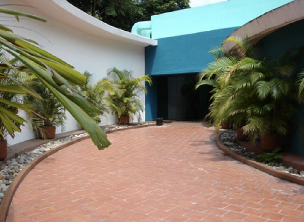 Museo Zoológico César Domínguez Flores-0