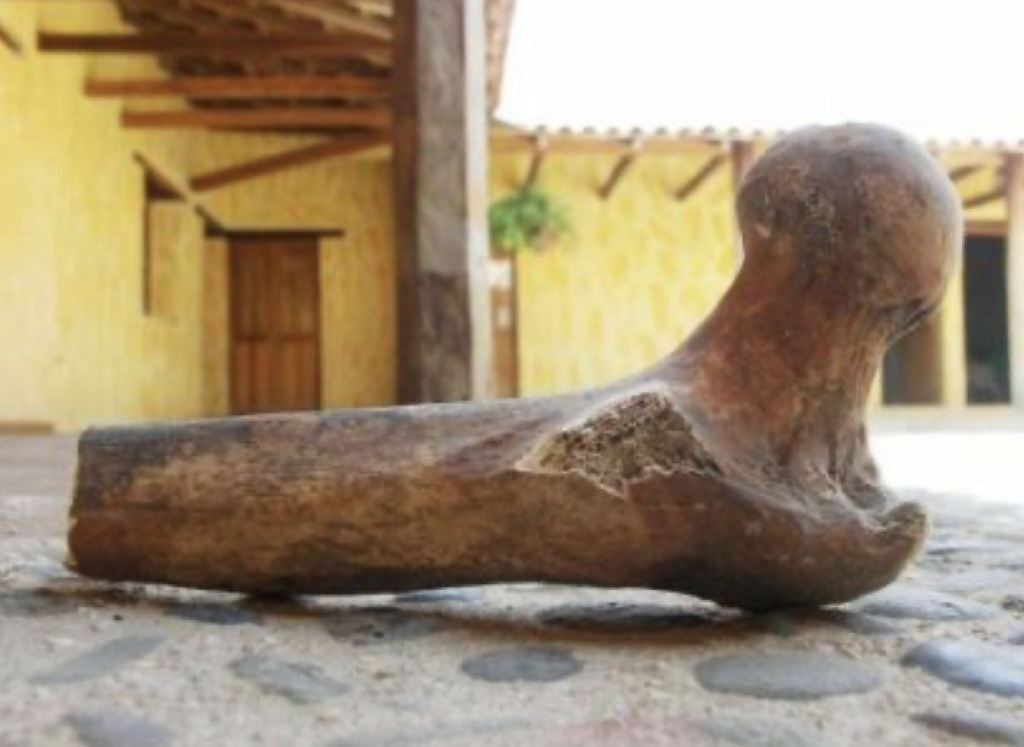 Museo Zoque Regional Javepacuay-1
