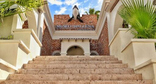 Museo de la Ballena-0