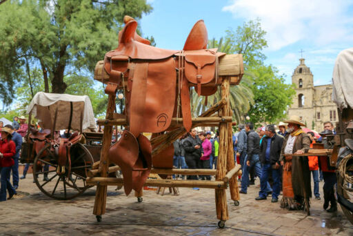 Museo de la Ganadería-0