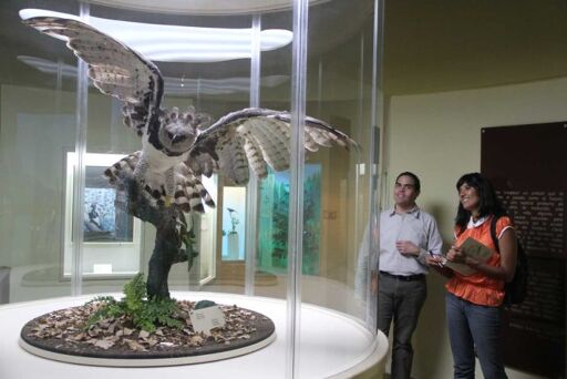 Museo de las Aves-0