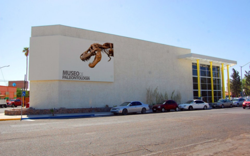 Museo de Paleontología de Delicias-0