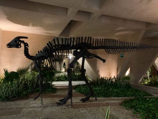Museo del Meteorito-0