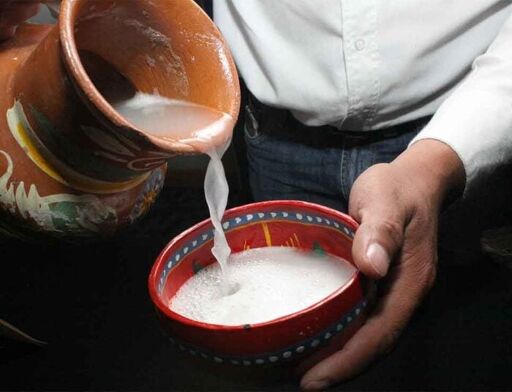 Museo del Pulque y las Pulquerías-0