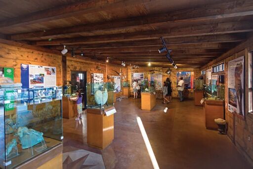 Museo Juan Rodríguez Cabrillo-0
