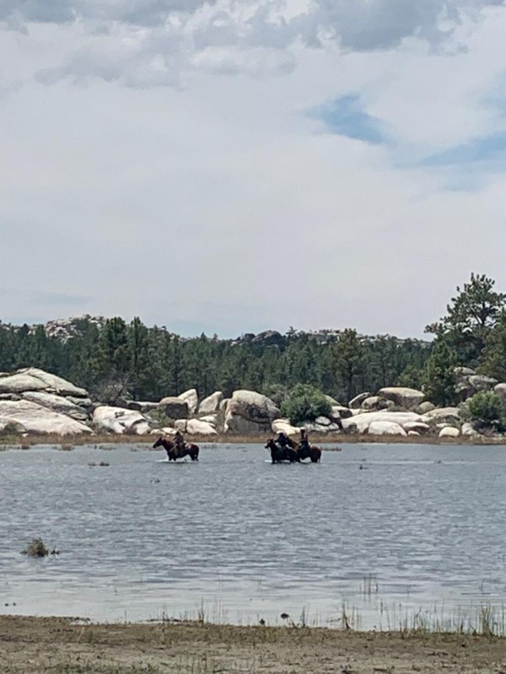 Laguna Hanson-0